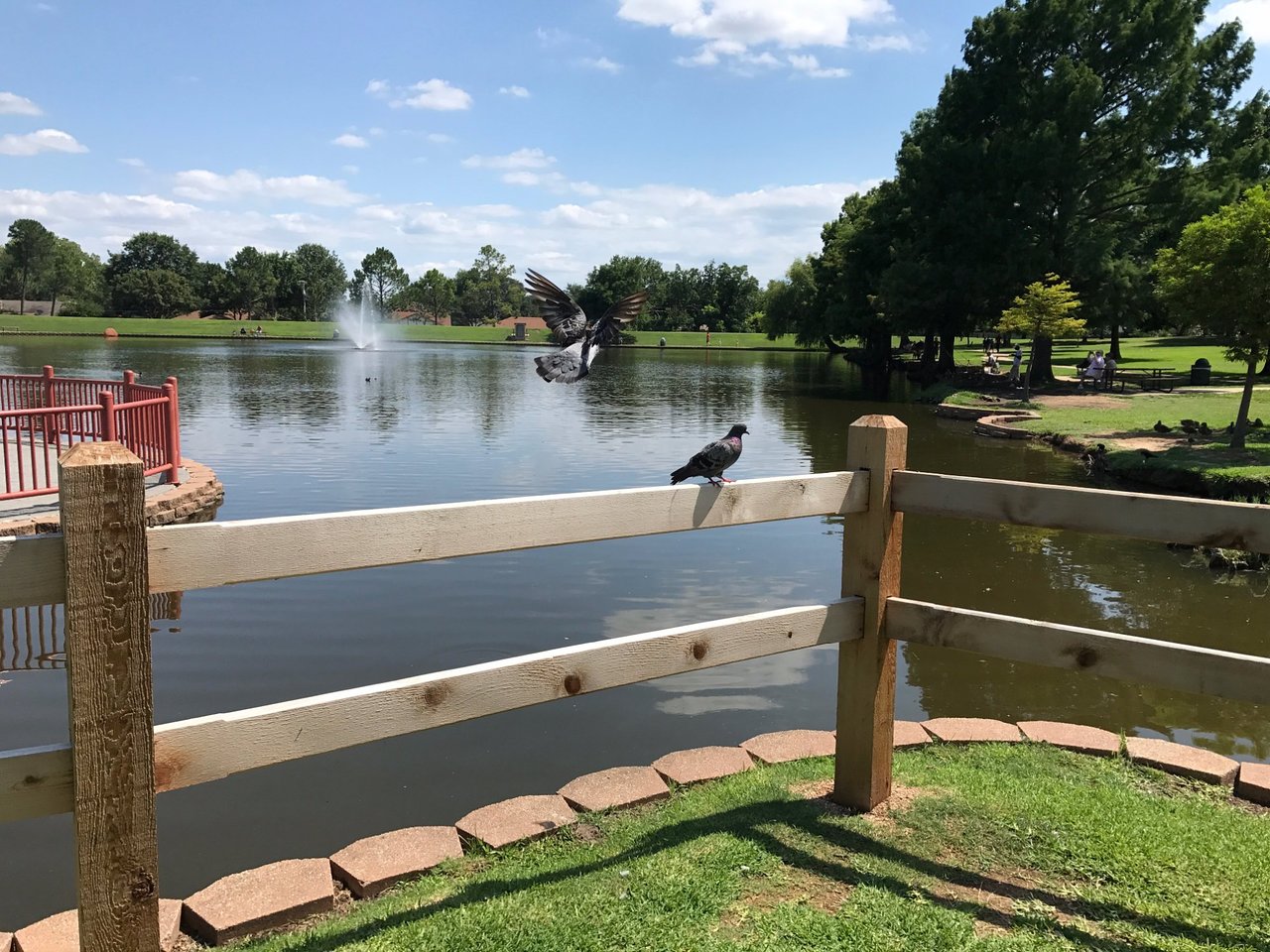 Hurst window replacement